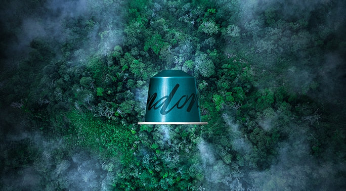 Indonesia - Fairtrade — 10 Capsules — Indonesia - Fairtrade — 10 Capsules L1